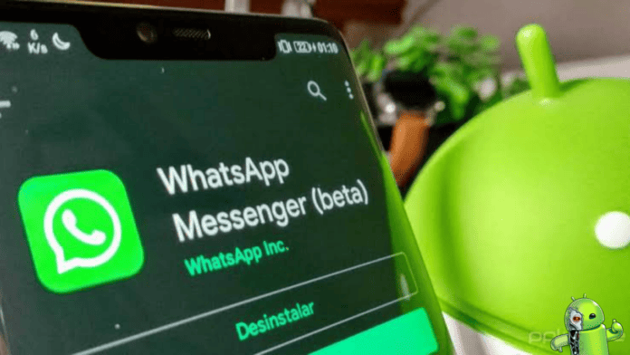 WhatsApp Ganhará Apagamento Automático Mensagens em grupos